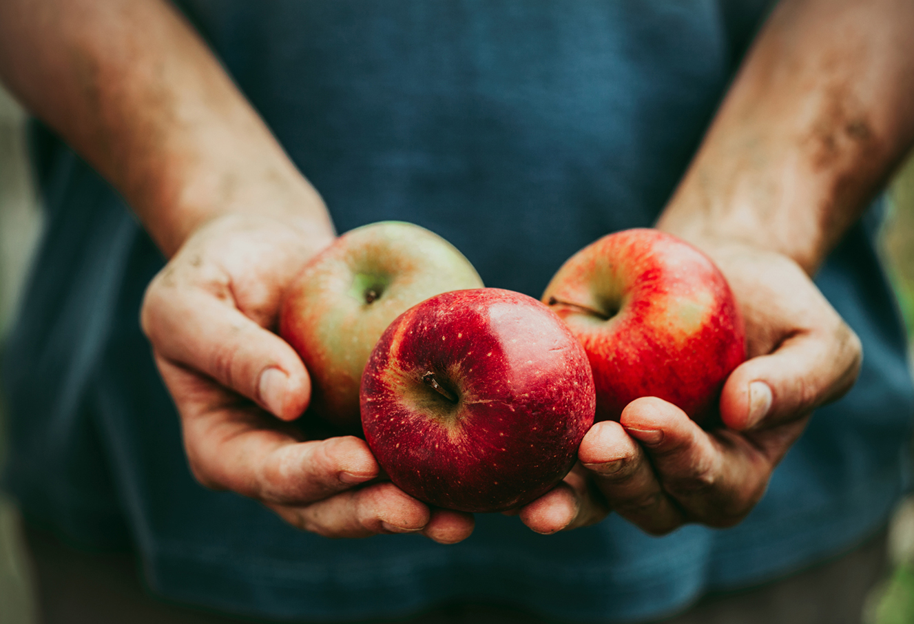 Red Meat Radijs En Heerlijke Goudreinet Appels