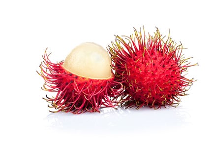 Week 12 - Rambutan