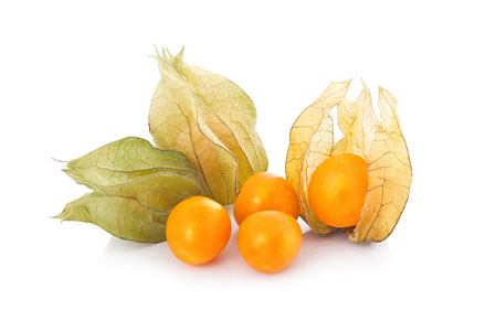 Week 17 - PHYSALIS