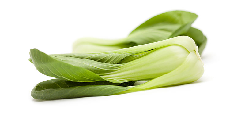 Week 17 - Paksoy
