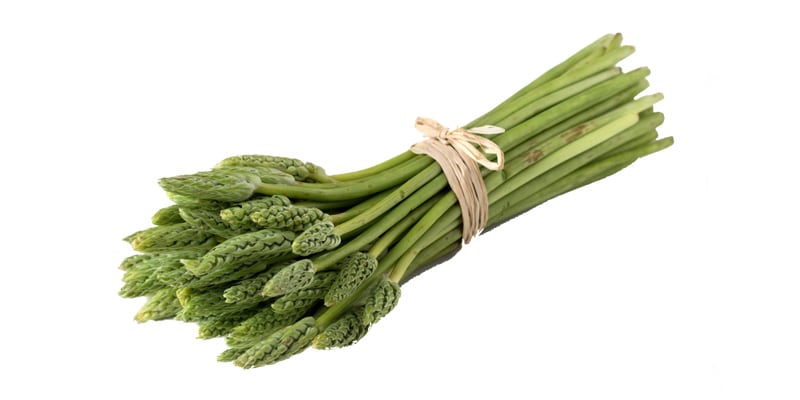 Week 20 - Korenaar Asperges